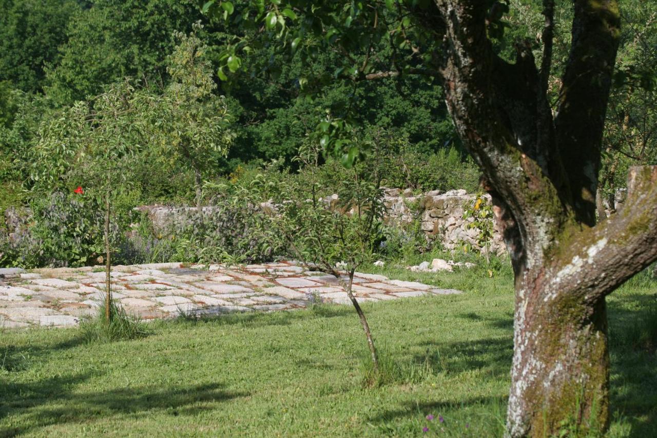 Pazo De Chaioso Ribeira Sacra Maceda Exterior foto